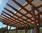 celosias y pergolas para decorar jardin